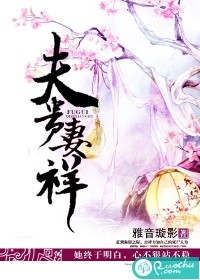 夫貴妻榮全集完整版