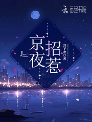 京夜有雨芒西番小說全文免費閱讀