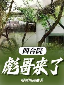 四合院之來回穿越小說