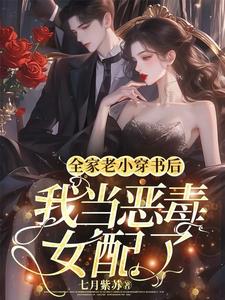 穿越當貴妃小說