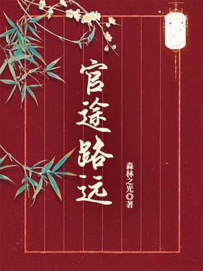 官路坦途小說