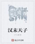 漢末天子類小說