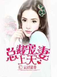 总裁宠妻上天 第1章