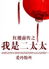 穿越红楼二老爷 穿越红楼二老爷