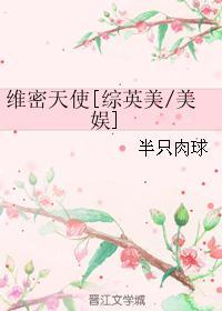 维密天使[综英美/美娱 维密天使[综英美/美娱