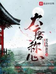 称心大唐情史