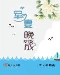 军妻 军妻