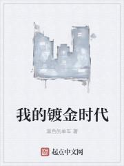 我的镀金时代 第41章 我的镀金时代 第41章