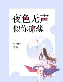 夜色凉凉此心何负什么歌 夜色凉凉此心何负什么歌