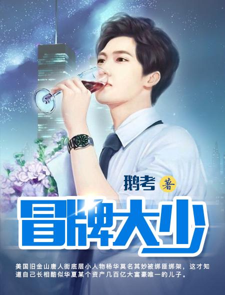 冒牌大少口袋无删减版