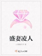 盛妻凌人封少别太坏 盛妻凌人封少别太坏