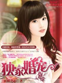 独家婚宠琛少的娇妻 云朵飘飞 独家婚宠琛少的娇妻 云朵飘飞