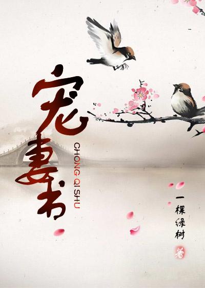 宠妻书讲的是什么 宠妻书讲的是什么