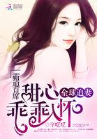 霸道首席全球追妻甜心乖乖入怀 辛呓呓 霸道首席全球追妻甜心乖乖入怀 辛呓呓