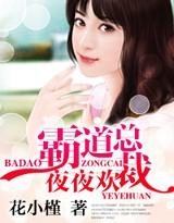 霸道总裁夜夜欢TXT