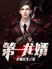 第一龙婿冷枫段佳怡TXT老醋花生