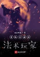 霍格沃兹的法术玩家 咸言碎语 霍格沃兹的法术玩家 咸言碎语