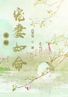 丞相宠妻日常txt书包网 丞相宠妻日常txt书包网