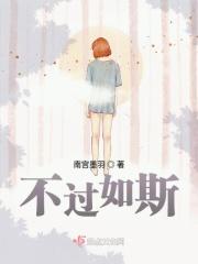 不过如是是什么意思