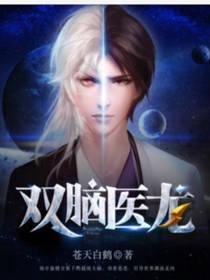 双脑医龙zip