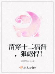 清穿十福晋的 清穿十福晋的