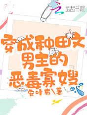 穿成种田文里的恶婆娘 穿成种田文里的恶婆娘