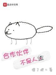 合作伙伴不是人 合作伙伴不是人