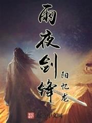 雨夜剑锋 雨夜剑锋