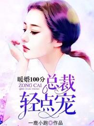 暖婚100分:总裁,轻点宠 暖婚100分:总裁,轻点宠