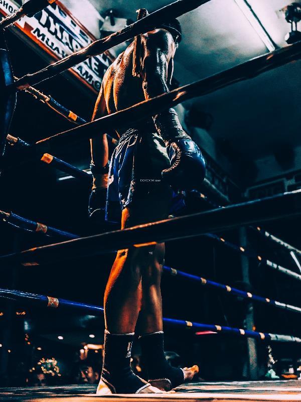 拳王:从一九八三开始 拳王:从一九八三开始