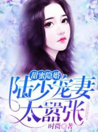甜蜜隐婚:陆少宠妻太嚣张 甜蜜隐婚:陆少宠妻太嚣张