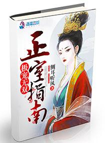 极宠无双:正室指南 极宠无双:正室指南