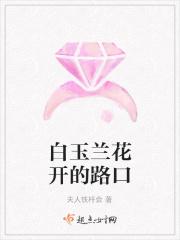 白玉兰花开的路口 白玉兰花开的路口