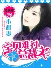 小小甜妻:宝贝难过总裁关 小小甜妻:宝贝难过总裁关