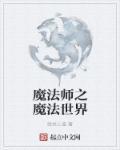 魔法师之魔法世界 魔法师之魔法世界