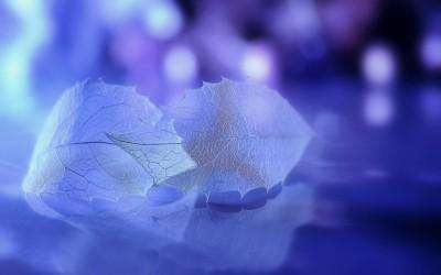 秘语书吧 秘语书吧