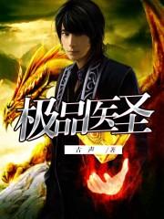 极品医圣 极品医圣