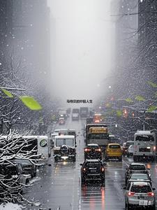 马特贝的炒股人生 马特贝的炒股人生