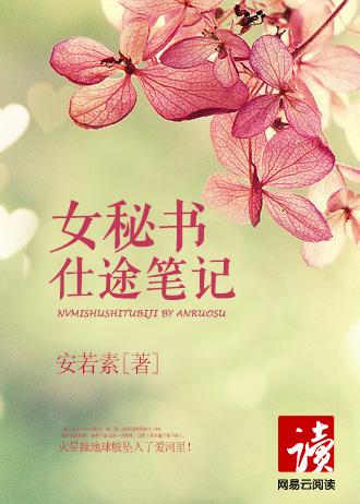 女秘书仕途笔记 女秘书仕途笔记