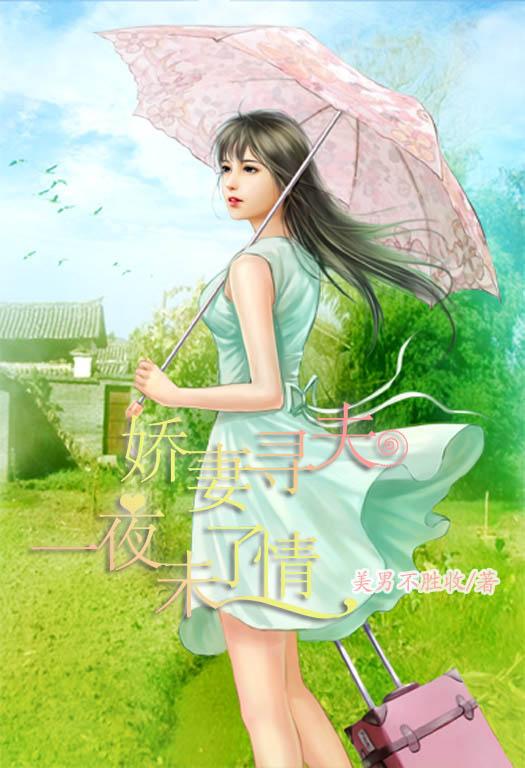 娇妻寻夫:一夜未了情 娇妻寻夫:一夜未了情