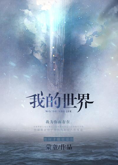 我的世界 我的世界