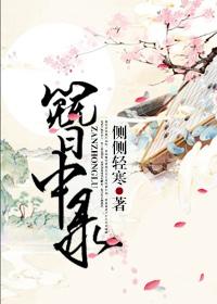 簪中录 簪中录