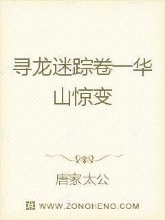 寻龙迷踪卷一华山惊变 寻龙迷踪卷一华山惊变