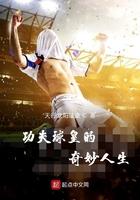 功夫球皇的奇妙人生 功夫球皇的奇妙人生