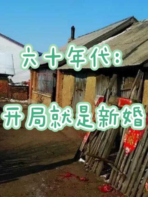 六十年代:开局就是新婚 六十年代:开局就是新婚