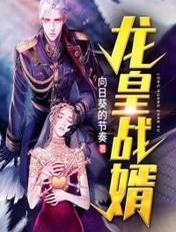 龙皇战婿 龙皇战婿