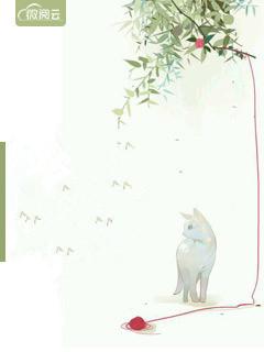 闪婚先生是总裁 闪婚先生是总裁