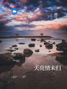 天亮情未归 天亮情未归